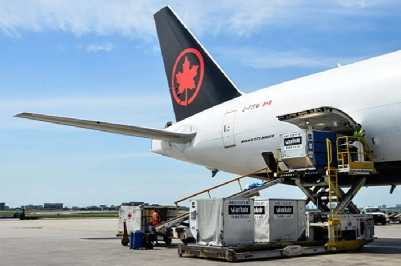 Jasa Import dari Canada ke Indonesia
